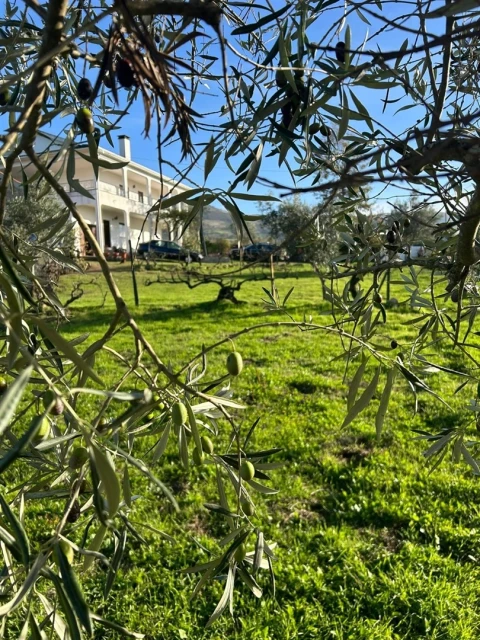 Moradia T5 para Venda em Figueiró da Serra e Freixo da Serra