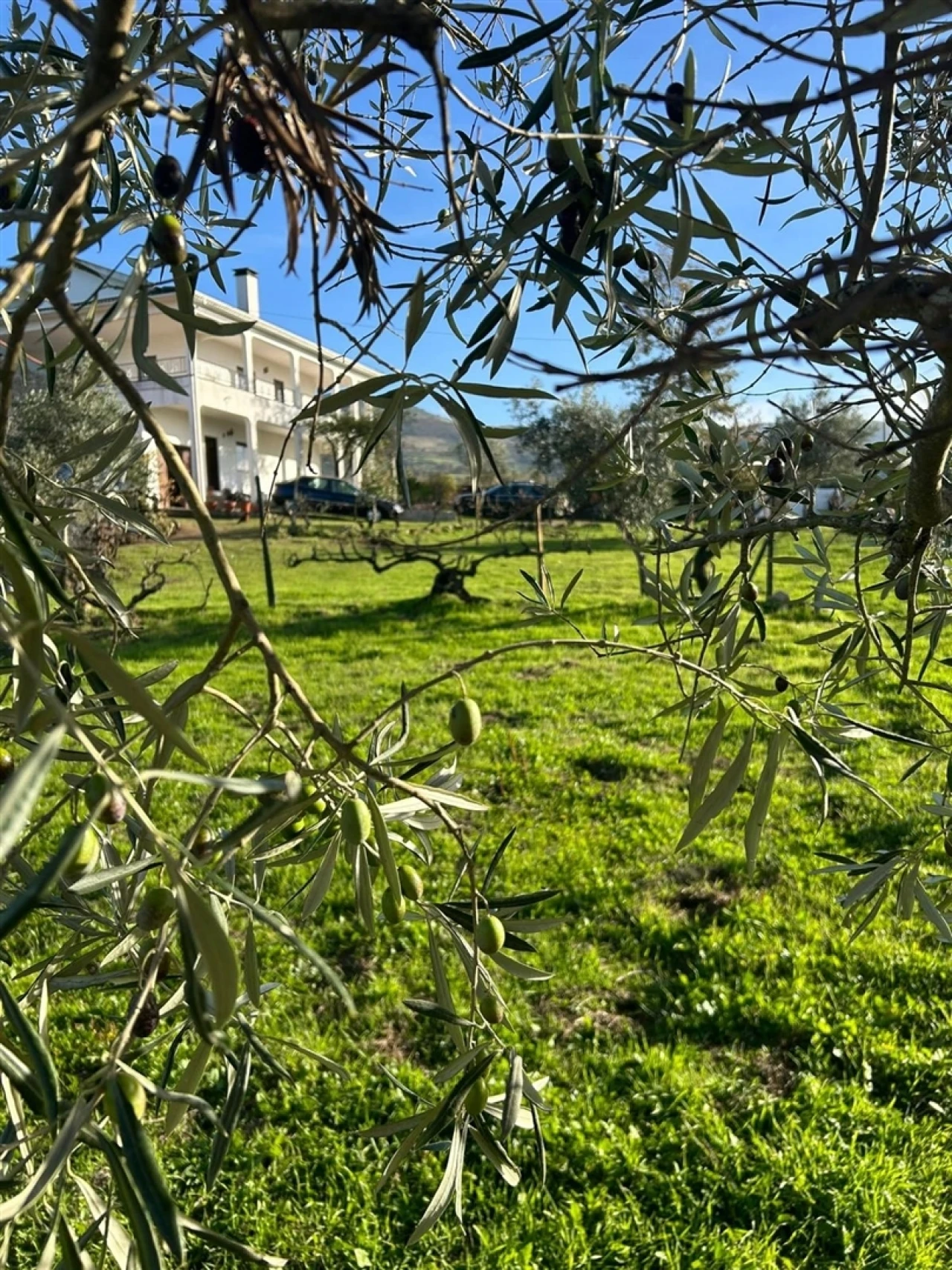 Moradia T5 para Venda em Figueiró da Serra e Freixo da Serra Foto 9