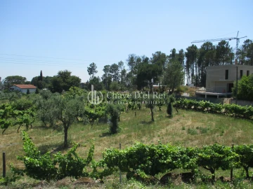 Terreno para Venda em São João de Lourosa