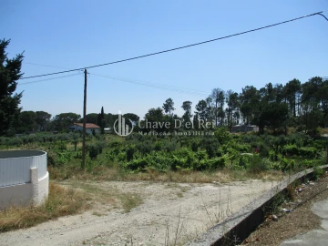 Terreno para Venda em São João de Lourosa