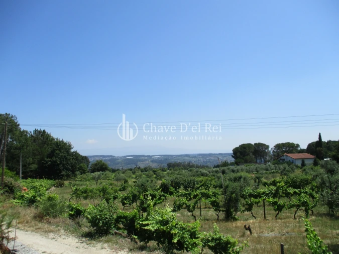 Terreno para Venda em São João de Lourosa Foto 6