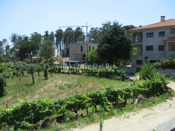 Terreno para Venda em São João de Lourosa Foto 8