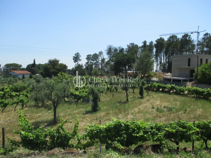 Terreno para Venda em São João de Lourosa Foto 7