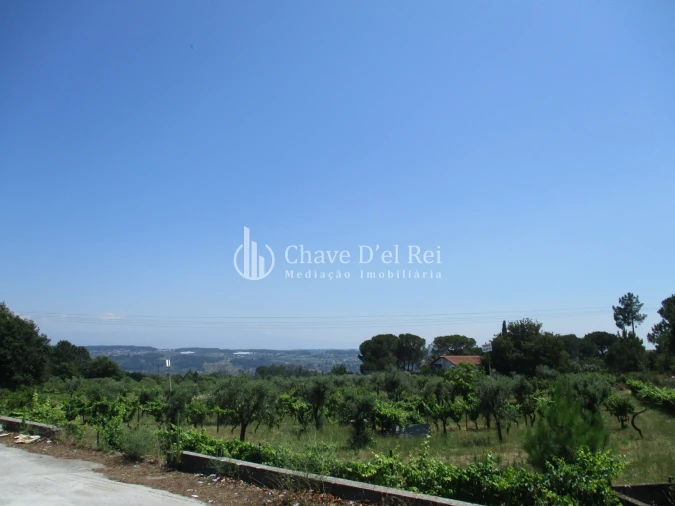 Terreno para Venda em São João de Lourosa Foto 12
