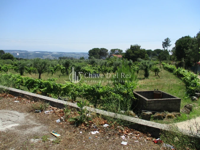 Terreno para Venda em São João de Lourosa Foto 2