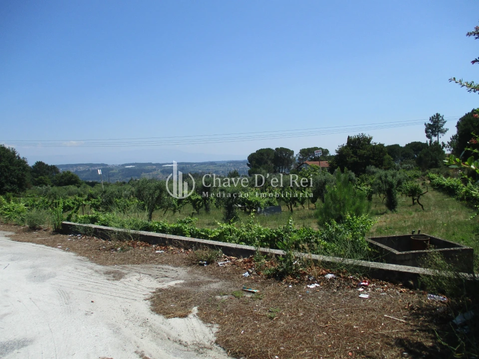 Terreno para Venda em São João de Lourosa Foto 1