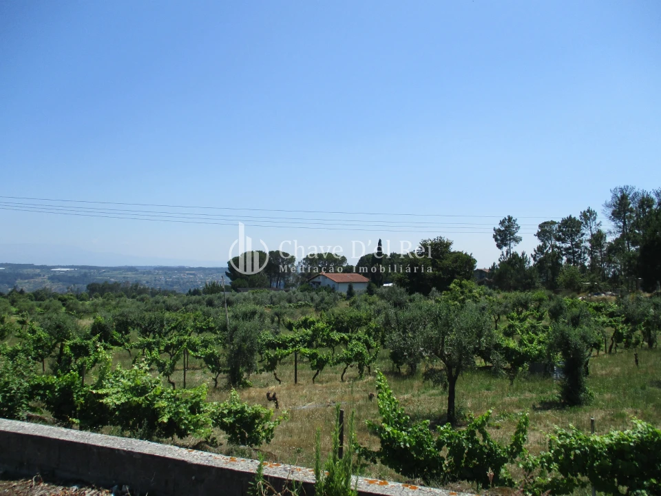 Terreno para Venda em São João de Lourosa Foto 5