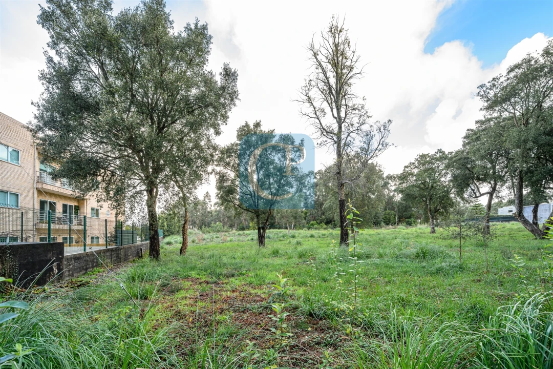 Terreno para Venda em Gulpilhares e Valadares Foto 3