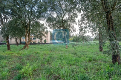 Terreno para Venda em Gulpilhares e Valadares