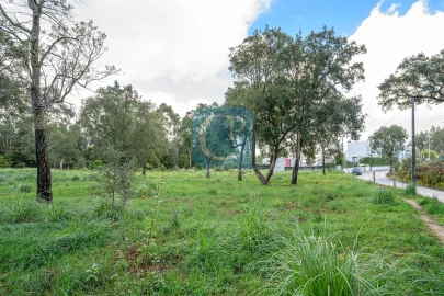 Terreno para Venda em Gulpilhares e Valadares