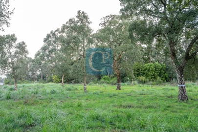 Terreno para Venda em Gulpilhares e Valadares