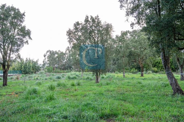 Terreno para Venda em Gulpilhares e Valadares Foto 6