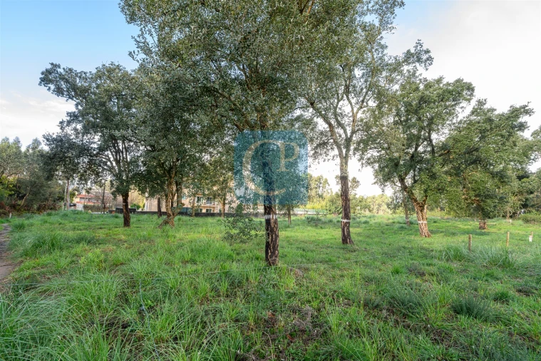 Terreno para Venda em Gulpilhares e Valadares Foto 9
