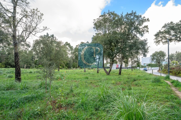 Terreno para Venda em Gulpilhares e Valadares Foto 5