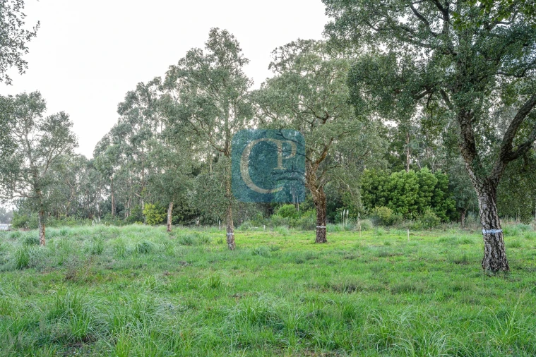 Terreno para Venda em Gulpilhares e Valadares Foto 7