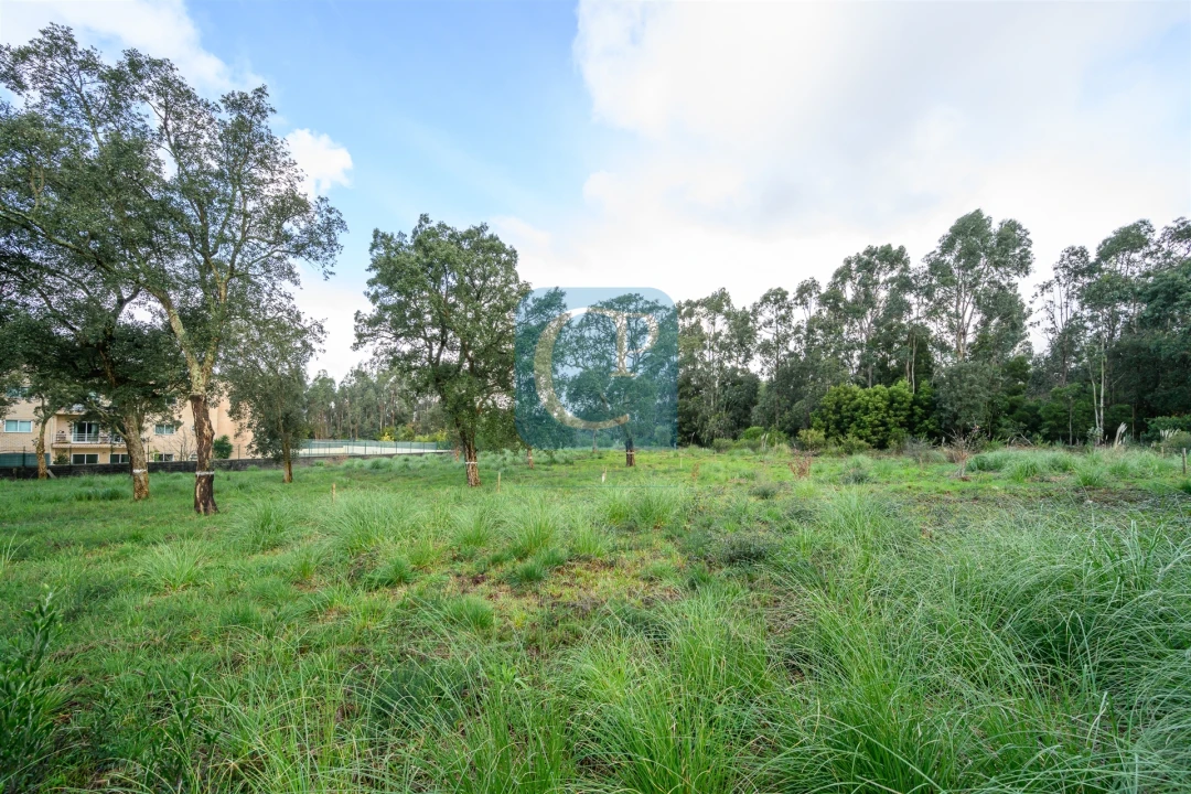 Terreno para Venda em Gulpilhares e Valadares Foto 1