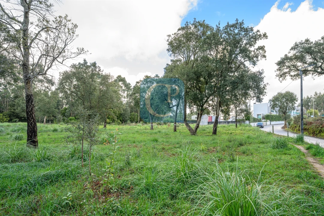 Terreno para Venda em Gulpilhares e Valadares Foto 5