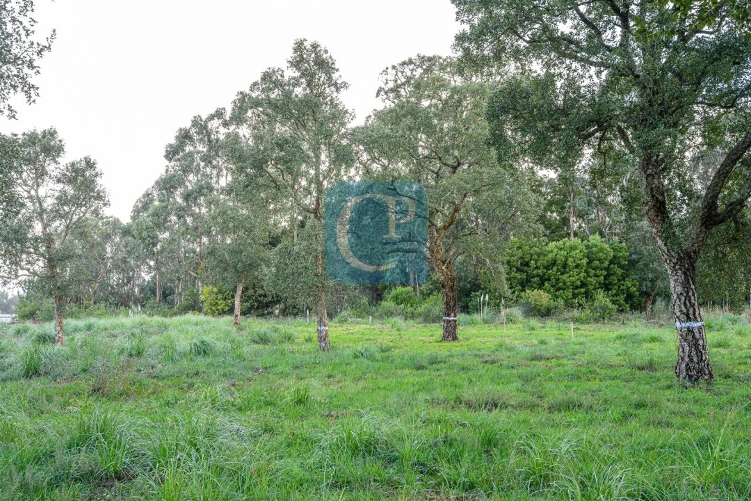Terreno para Venda em Gulpilhares e Valadares Foto 7