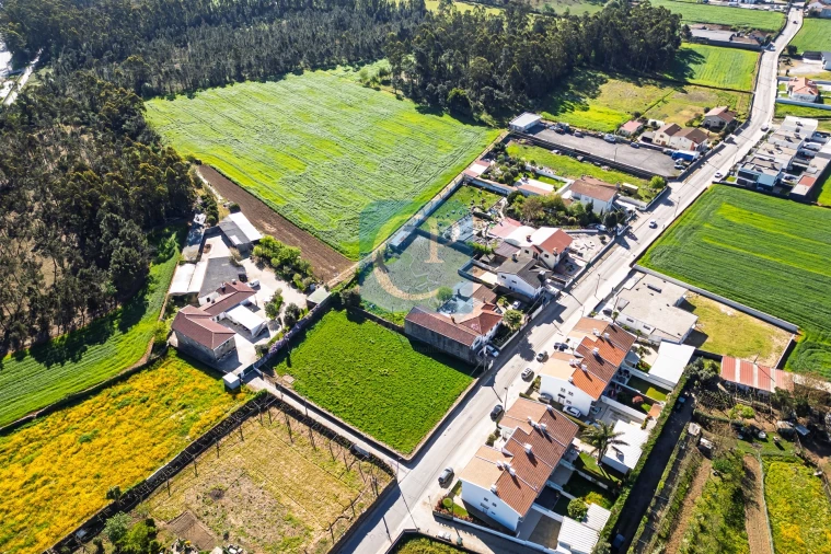 Terreno para Venda em Rates Foto 7