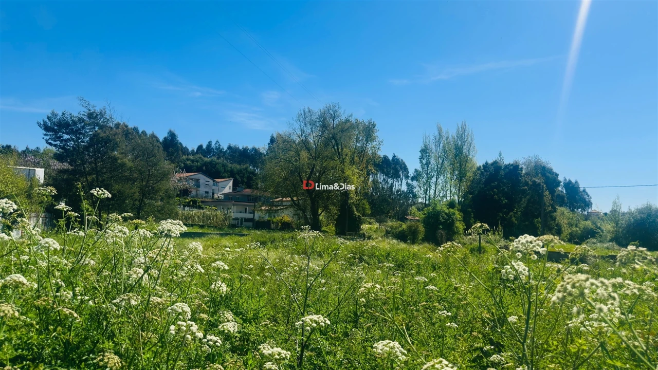 Terreno para Venda em Grijó e Sermonde Foto 3