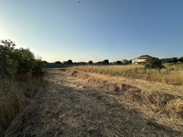 Terreno para Venda em Lavos