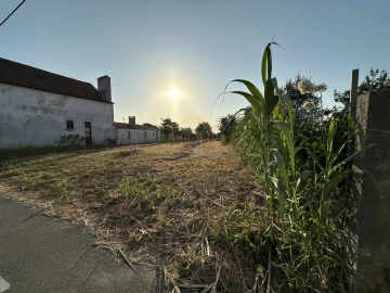 Terreno para Venda em Lavos