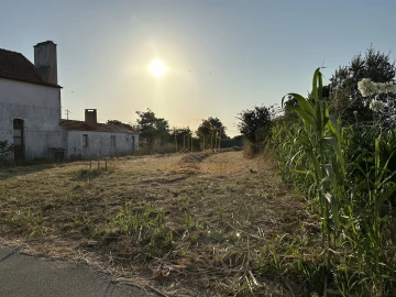Terreno para Venda em Lavos