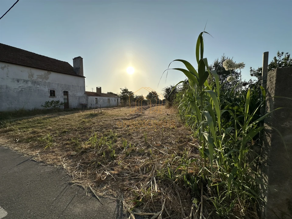 Terreno para Venda em Lavos Foto 2