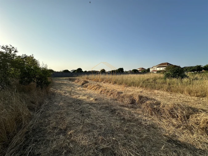 Terreno para Venda em Lavos Foto 6
