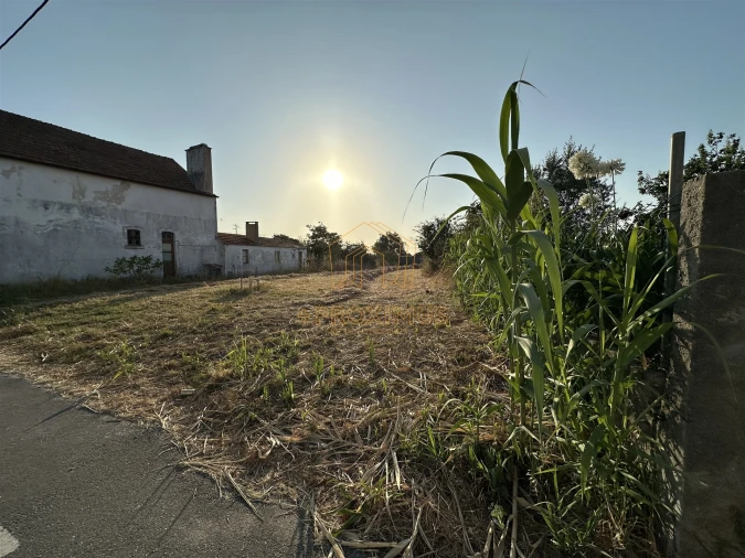 Terreno para Venda em Lavos Foto 2