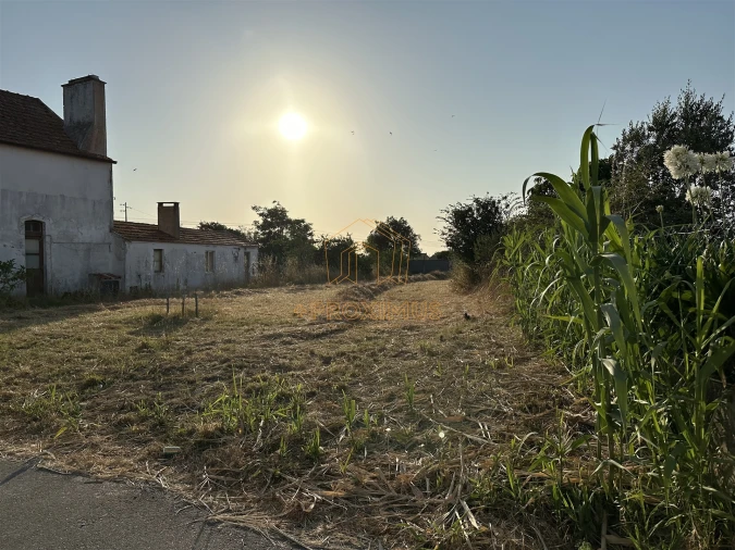 Terreno para Venda em Lavos Foto 3