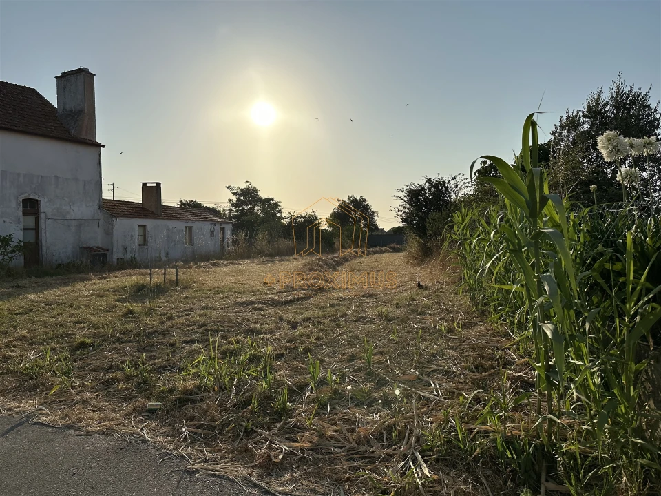 Terreno para Venda em Lavos Foto 3
