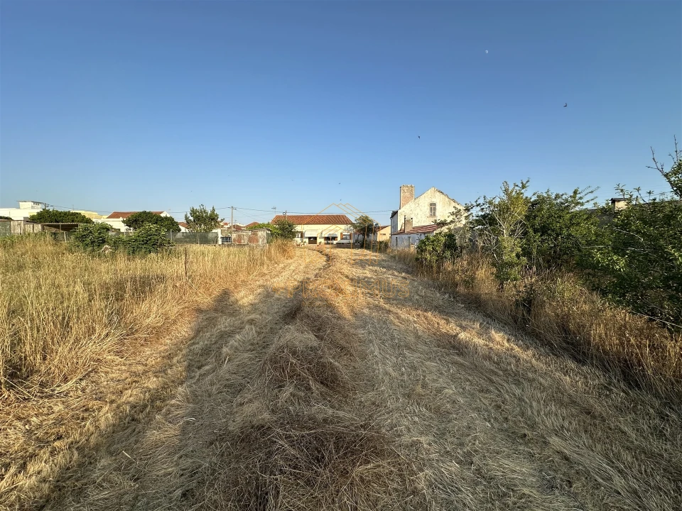 Terreno para Venda em Lavos Foto 7