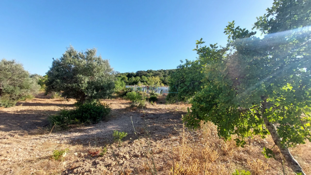 Terreno Misto para Venda em Conceição e Estoi Foto 18