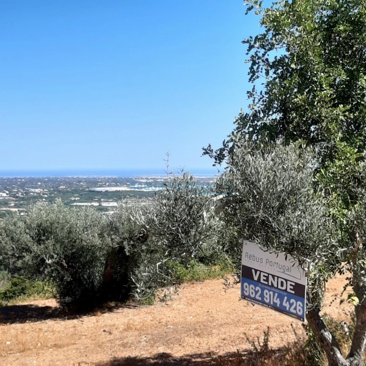 Terreno Misto para Venda em Conceição e Estoi Foto 19
