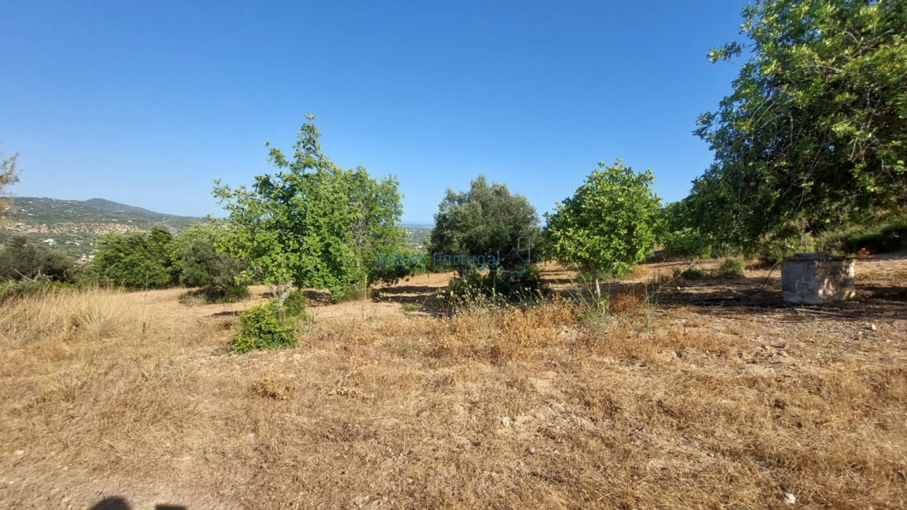 Terreno Misto para Venda em Conceição e Estoi Foto 4