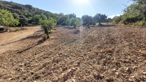 Terreno Misto para Venda em Conceição e Estoi