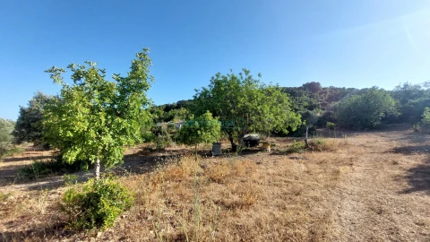 Terreno Misto para Venda em Conceição e Estoi
