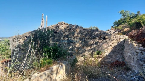 Terreno Misto para Venda em Conceição e Estoi