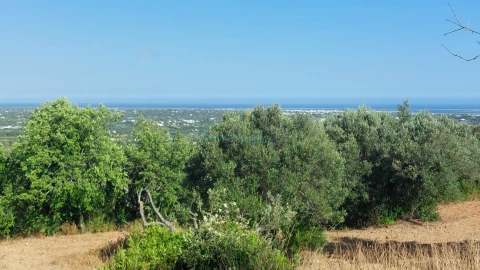Terreno Misto para Venda em Conceição e Estoi