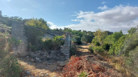 Terreno Misto para Venda em Conceição e Estoi