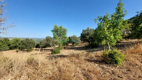 Terreno Misto para Venda em Conceição e Estoi