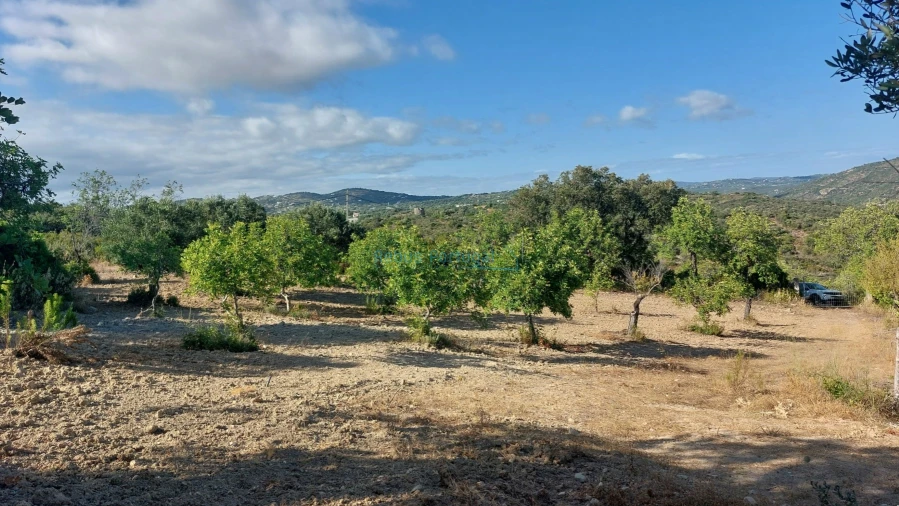 Terreno Misto para Venda em Conceição e Estoi Foto 10