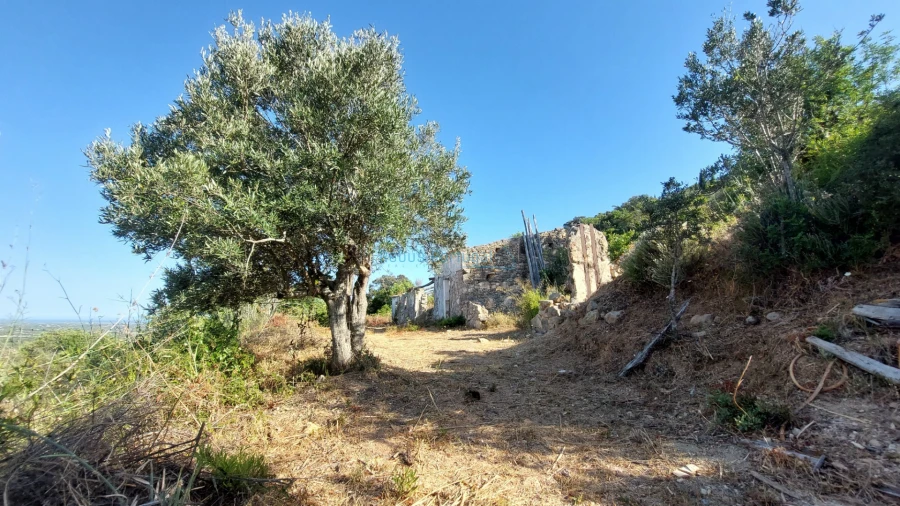Terreno Misto para Venda em Conceição e Estoi Foto 14