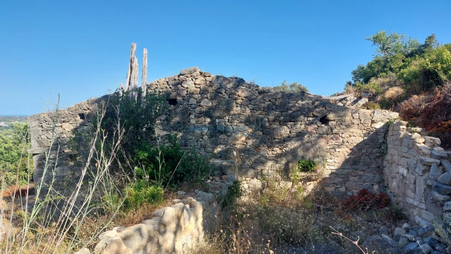 Terreno Misto para Venda em Conceição e Estoi Foto 12