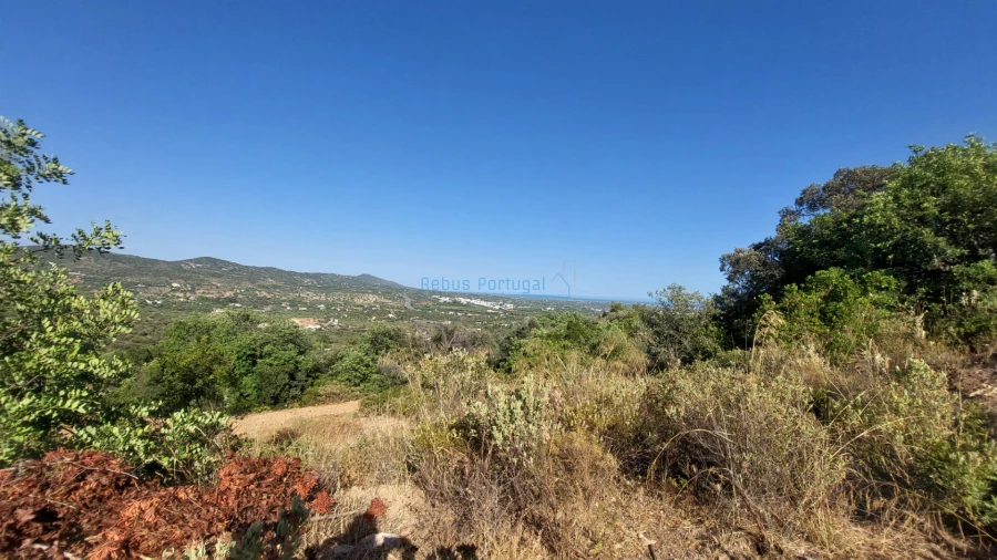Terreno Misto para Venda em Conceição e Estoi Foto 7