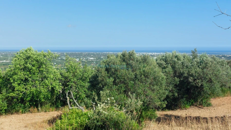 Terreno Misto para Venda em Conceição e Estoi Foto 15