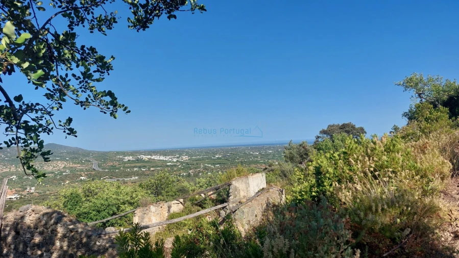 Terreno Misto para Venda em Conceição e Estoi Foto 5