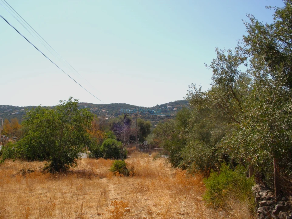 Terreno para Venda em São Brás de Alportel Foto 10