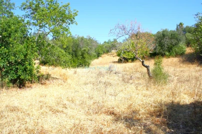 Terreno para Venda em São Brás de Alportel